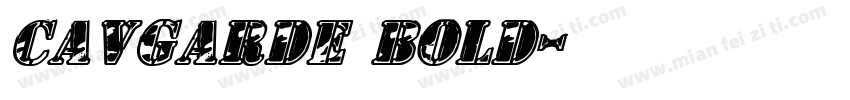 CAVGarde Bold字体转换